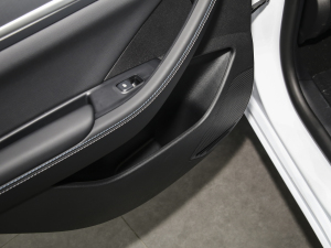 2024sҫ DM-i 55KM F g