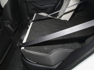 2024sҫ DM-i 55KM F g