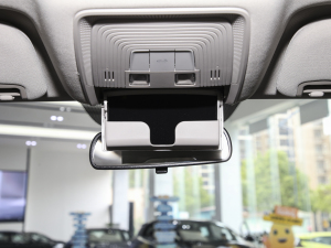 2024sҫ DM-i 55KM F g