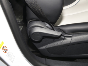 2024sҫ DM-i 55KM F g