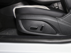 2024sҫ DM-i 55KM F g