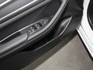 2024sҫ DM-i 55KM F g