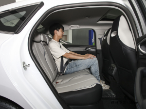 2024sҫ DM-i 55KM F g