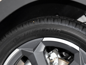 2024sҫ 305km ɰ ݆̥Ʒ