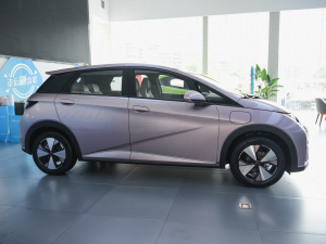 2025款420km 自由版 整体外观