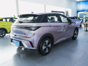2025款420km 自由版 整体外观