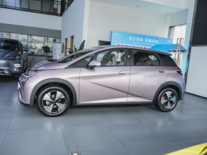 2025款420km 自由版 整体外观