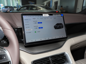 2025DM-i 112KM F п؅^