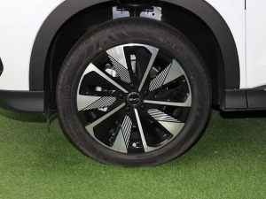 2025DM-i 112KM F (ji)^