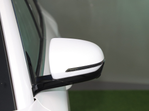 2025DM-i 112KM F (ji)^