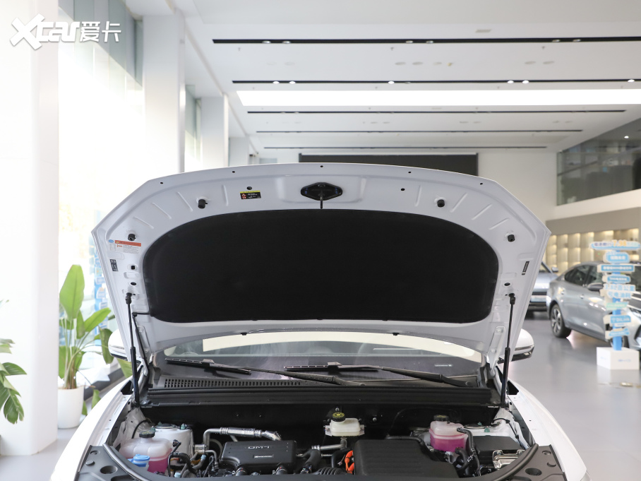 2025{05 DM-i DM-i 115KMs