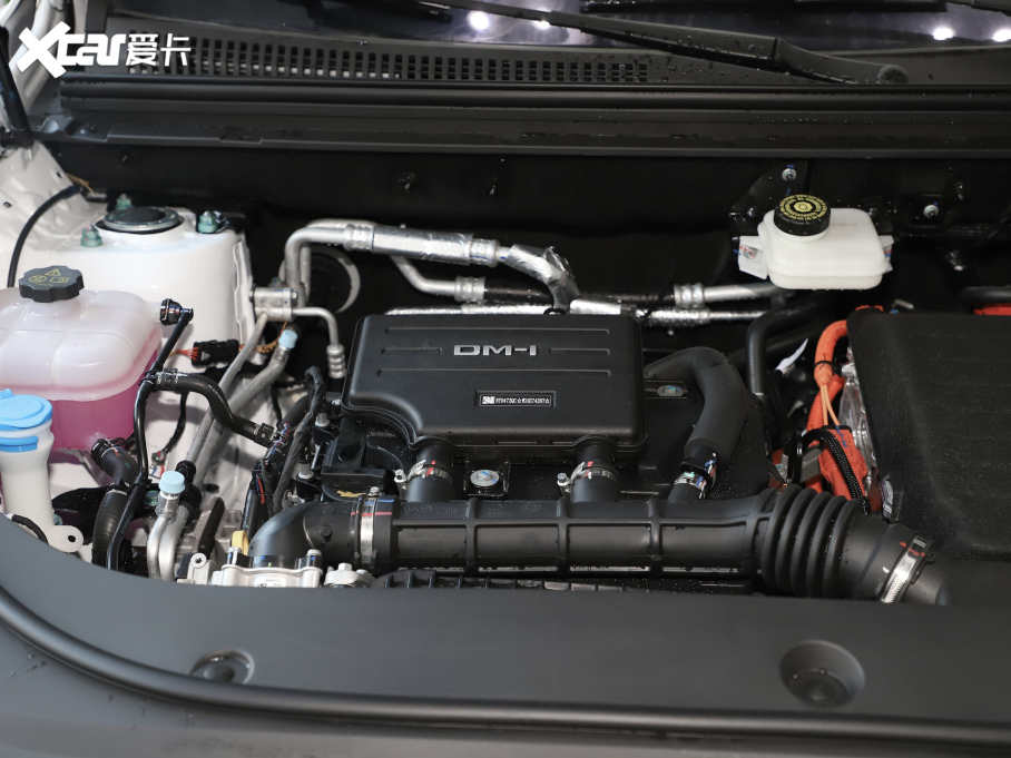 2025{05 DM-i DM-i 115KMs