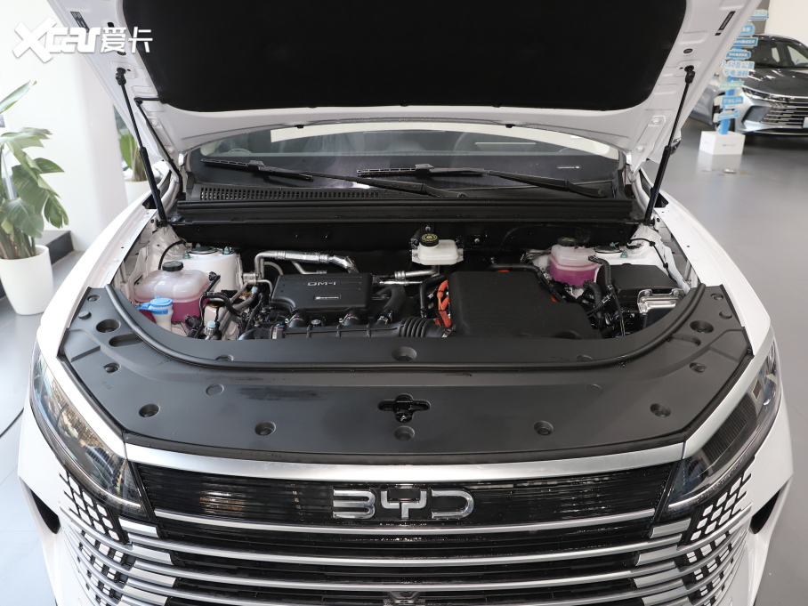 2025{05 DM-i DM-i 115KMs