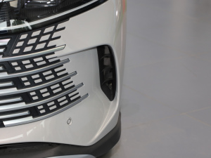 2025DM-i 115KMŞ (ji)^