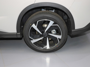 2025DM-i 115KMŞ (ji)^