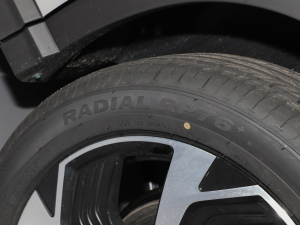 2025DM-i 115KMŞ (ji)^