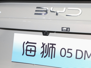 2025DM-i 115KMŞ (ji)^