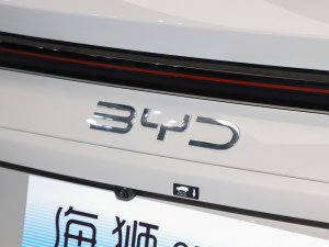 2025DM-i 115KMŞ (ji)^