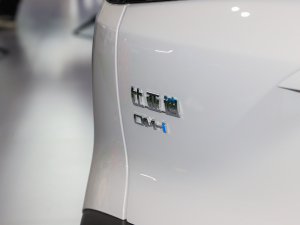 2025DM-i 115KMŞ (ji)^