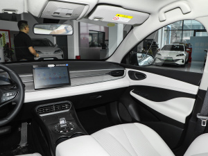 2025DM-i { 120KMŞ п؅^