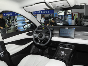 2025DM-i { 120KMŞ п؅^