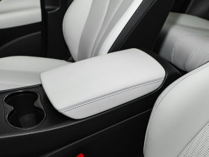 2025DM-i { 120KMŞ п؅^