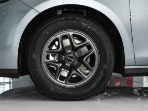 2025DM-i { 120KMŞ ^