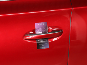 2018DM 2.0T  7 V {T