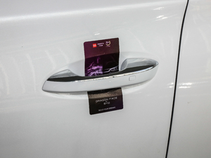 2018DM 2.0T (q)(lin)(chung) 7 V {T