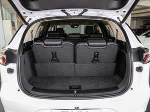 2018DM 2.0T  7 V g