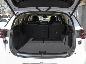 2018DM 2.0T (q)(lin)(chung)I(lng) 7 V g