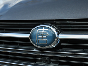 2018DM 2.0T  7 V ^