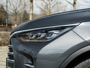 2018DM 2.0T  7 V ^