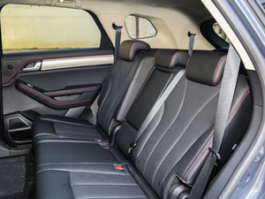 2018DM 2.0T (q)(lin)(chung) 7 V g