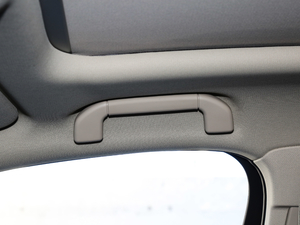 2018DM 2.0T  7 V g