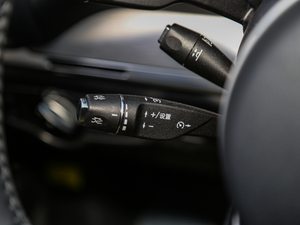 2018DM 2.0T  7 V п؅^