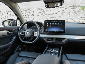 2018DM 2.0T  7 V п؅^