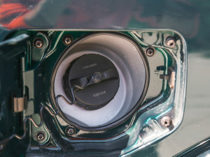 20212.4T (q)С(bio)  (x)(ji)^