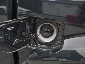 20212.4T (q)(chung)I(y)(bio)  (x)(ji)^