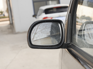 20211.5L (bio)(zhn)͟o{(dio)؛ VI (x)(ji)^