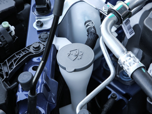 2019款SCe200 自动两驱智悦型周年版 国V 其它