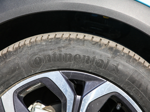 2020TCe270 Ԅӄ ݆̥Ʒ