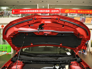 2017款2.0L 两驱时尚版 其它