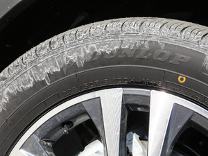 20182.5L (q)F (x)(ji)^