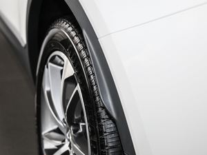 201828T (q)GT (x)(ji)^