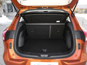 202020TGDI (q)Ԅ(dng)r(sh) g