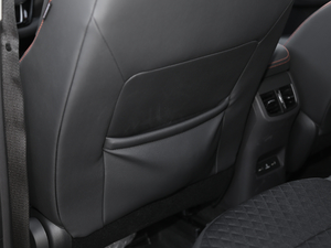 202020TGDI Ԅӕr п؅^