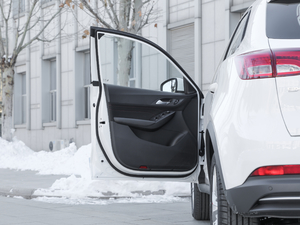 202020TGDI Ԅm {λ܇T