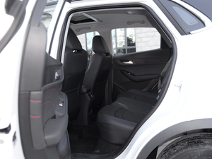 202020TGDI Ԅӕr ſg