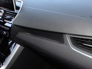 202020TGDI (q)Ԅ(dng)r(sh) g